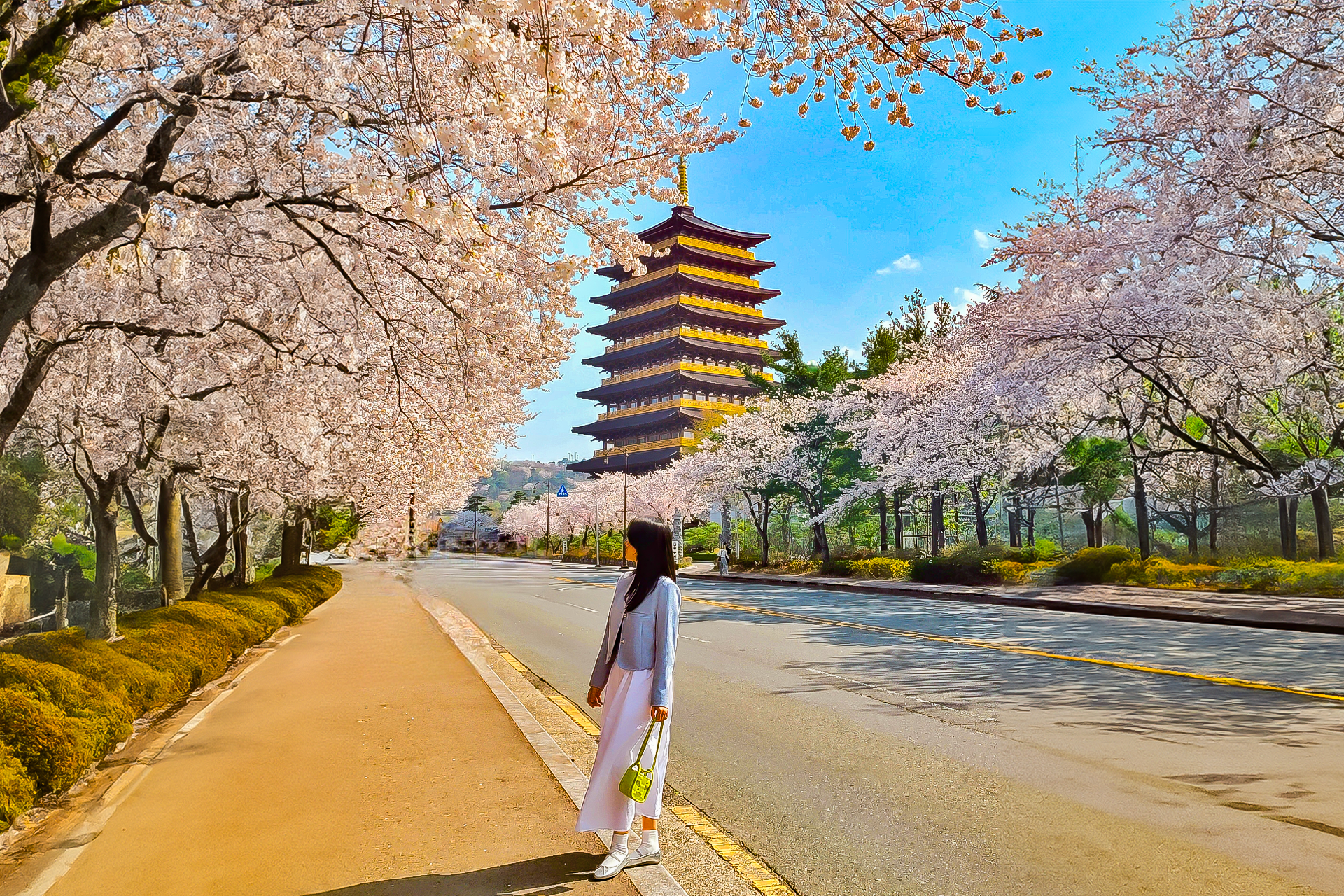 Gyeongju Cherry Blossom One day Tour – Depart from Busan by Ktourstory ZRrFRL1y-backdrop