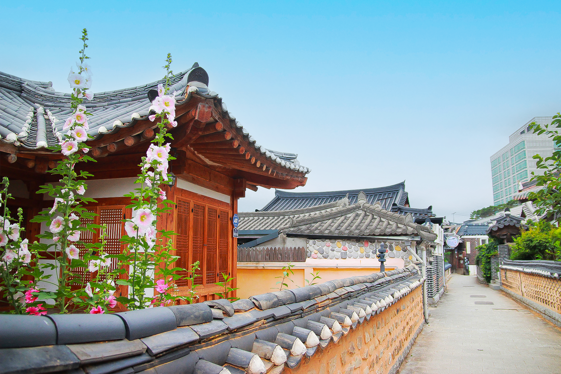Gwang-yang Maehwa & Gurye Sansuyu Festival (From Seoul) by Ktourstory wNf10sM0