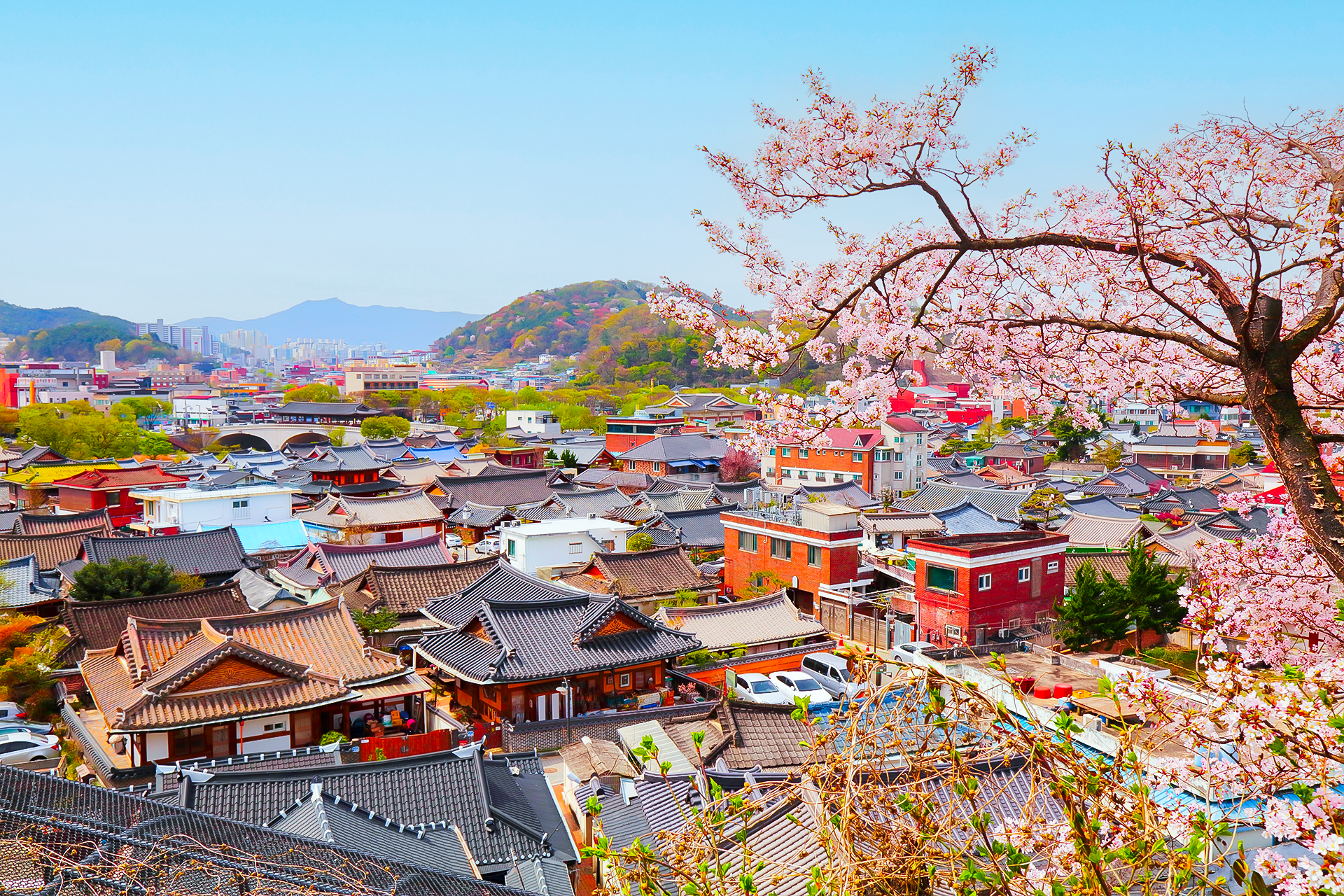 Gwang-yang Maehwa & Gurye Sansuyu Festival (From Seoul) by Ktourstory ibJUpnxo