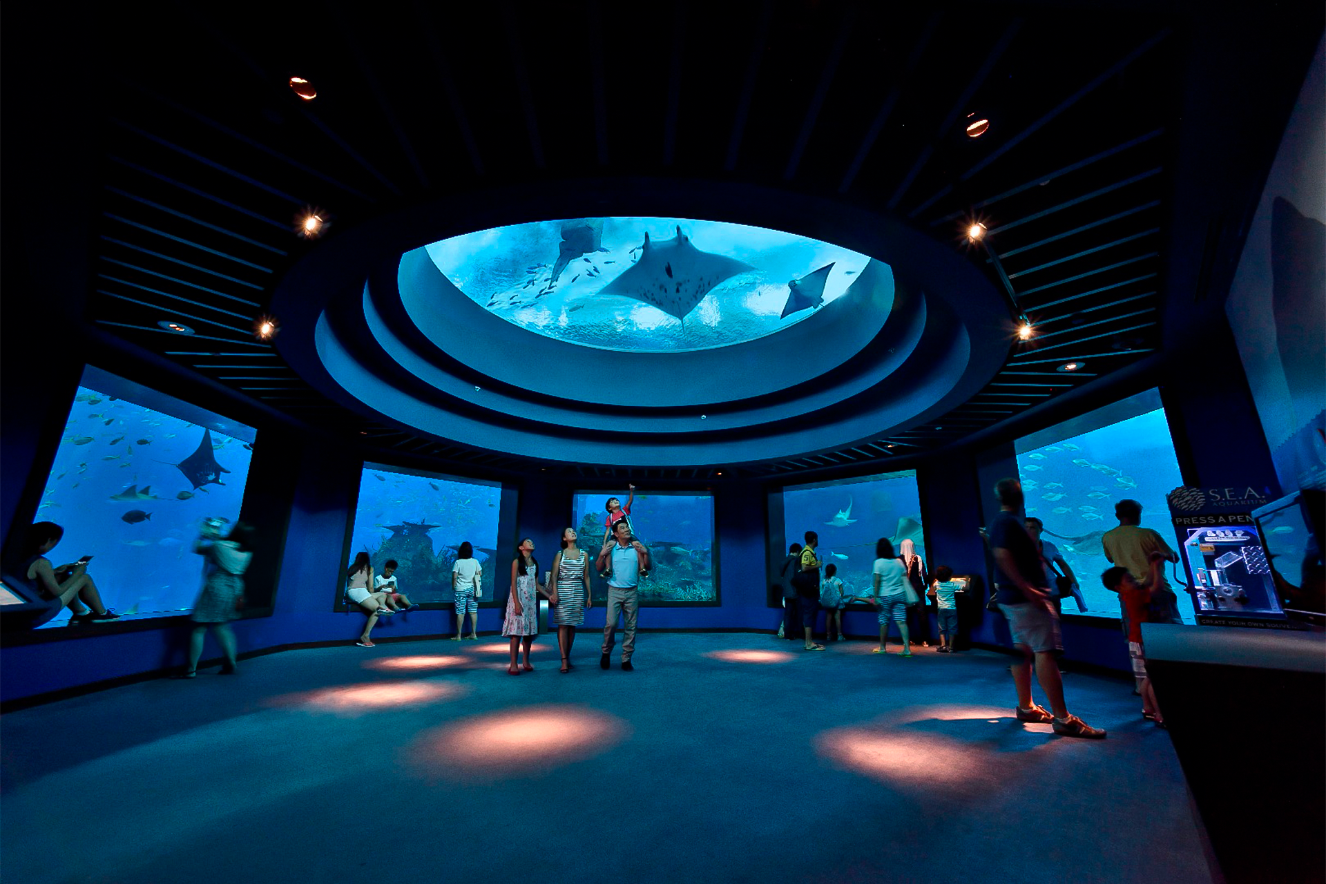 S.E.A. Aquarium™ 1VghWw8H