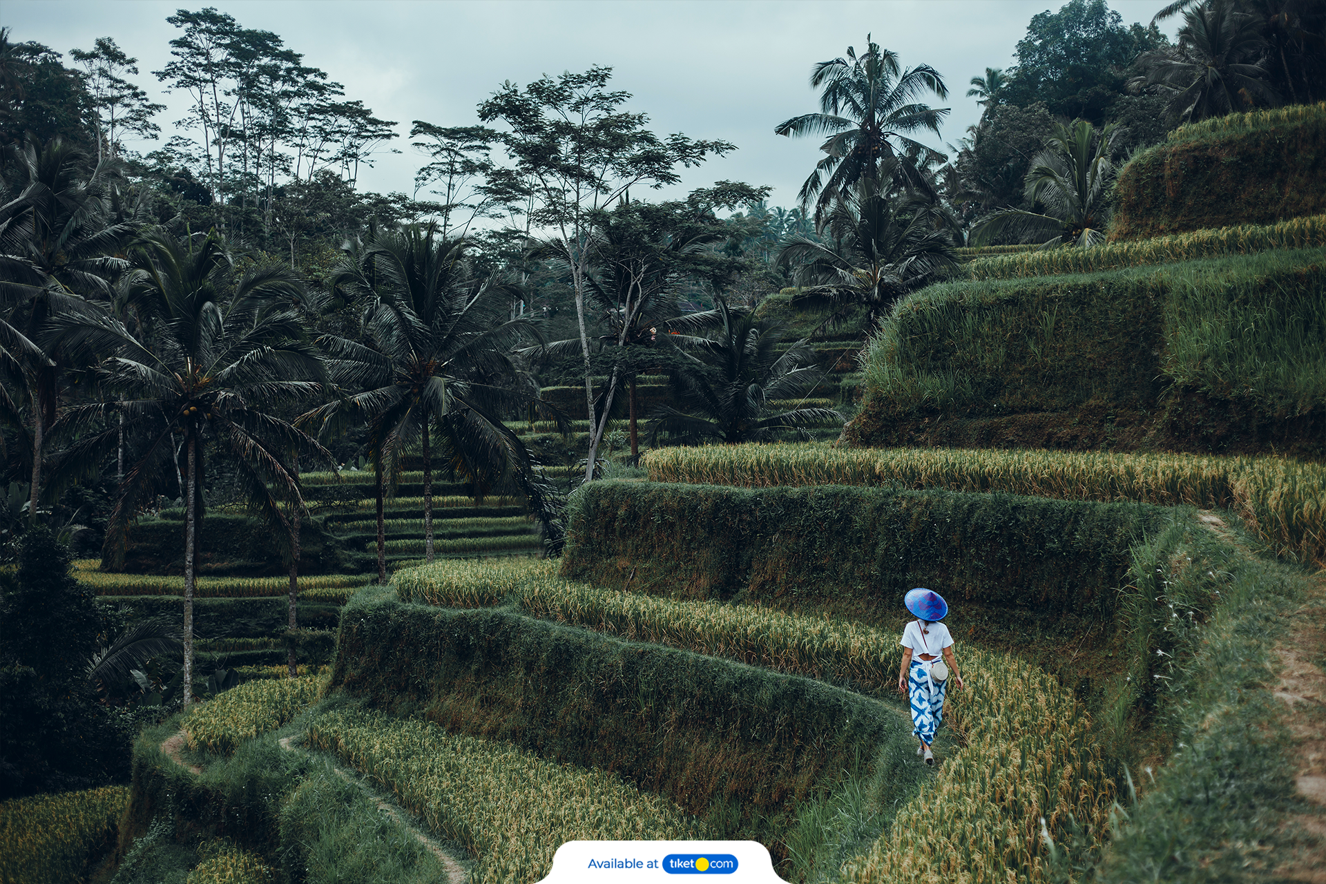 Private Sightseeing Custom Tour for Ubud & Surroundings 4ccdd6mM