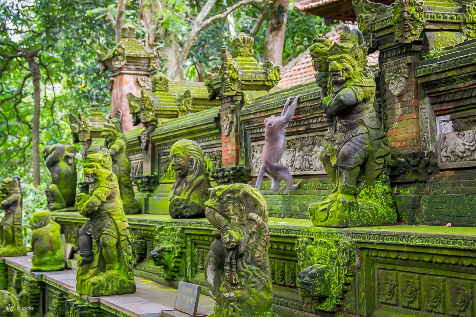 Private Sightseeing Custom Tour for Ubud & Surroundings uoUg2ghk