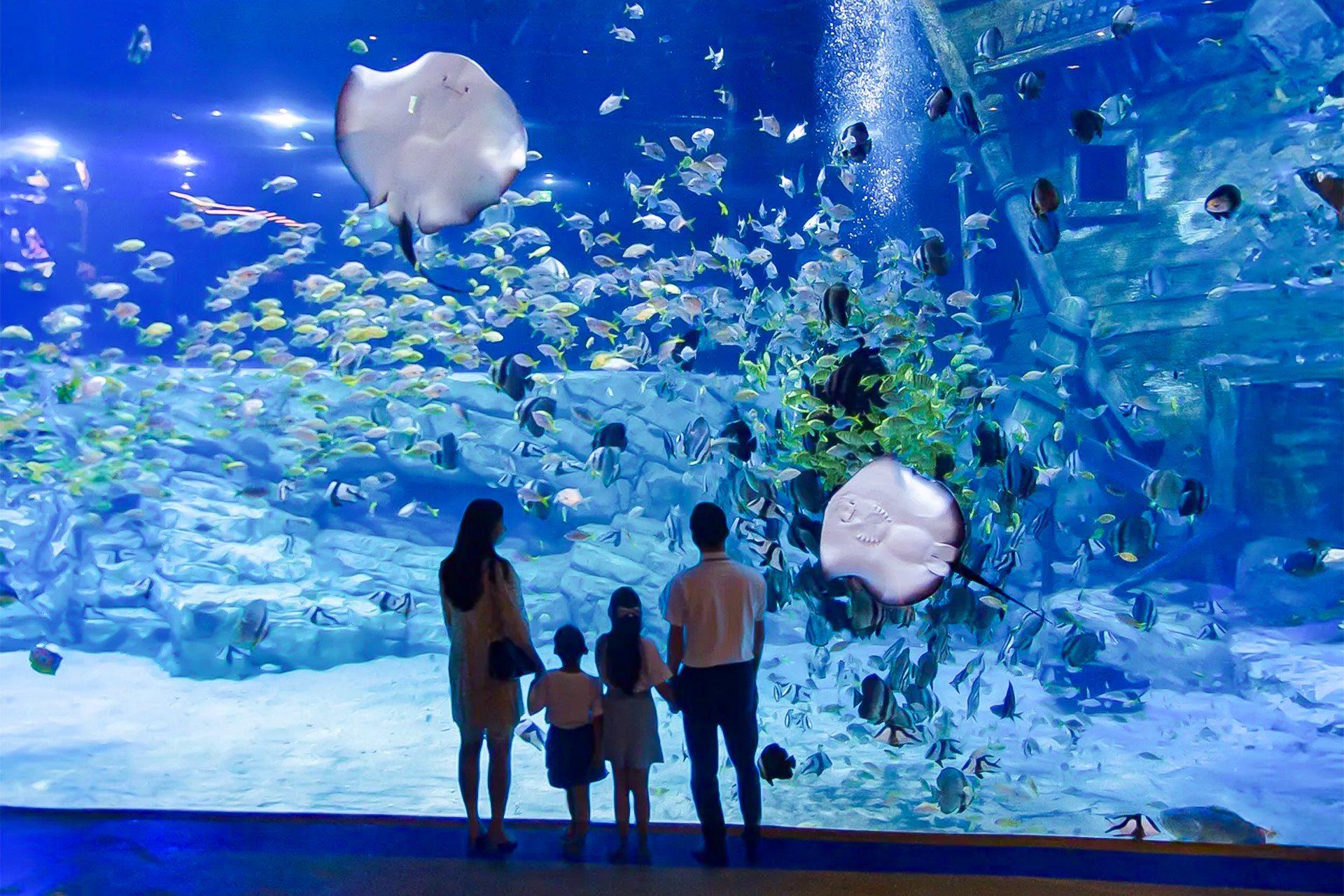 Lotte World Aquarium Hanoi Ticket 7oXkRmUl