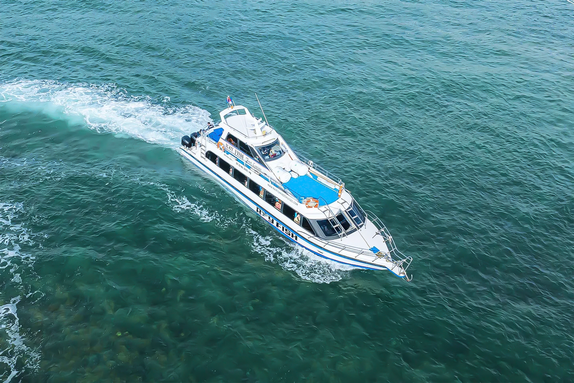 Ray Fish Fast Cruise Cruise Dari Sanur Ke Nusa Penida 50 Off Entry