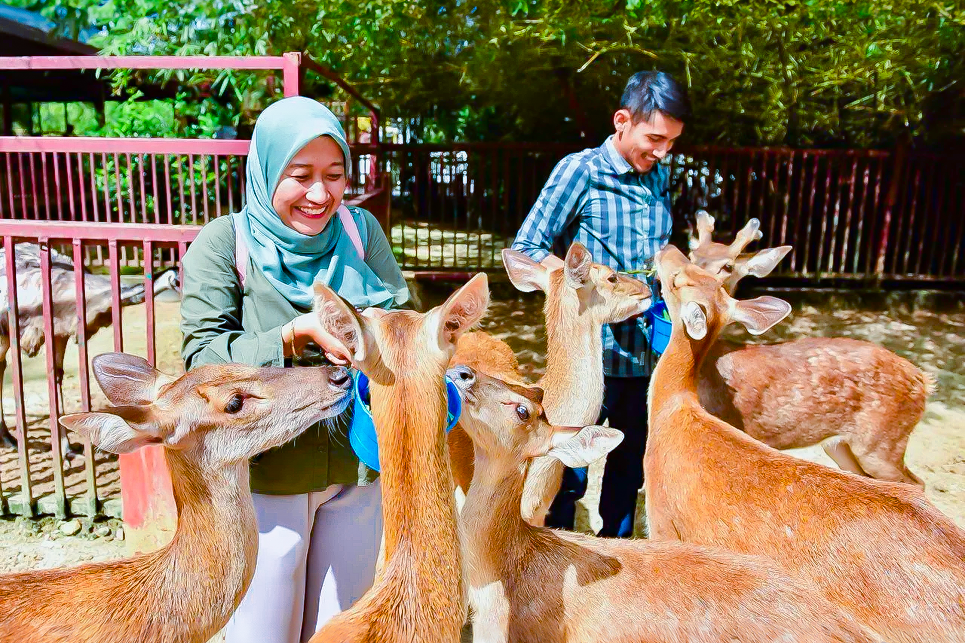 Langkawi Wildlife Park Ticket FIv9QIq1