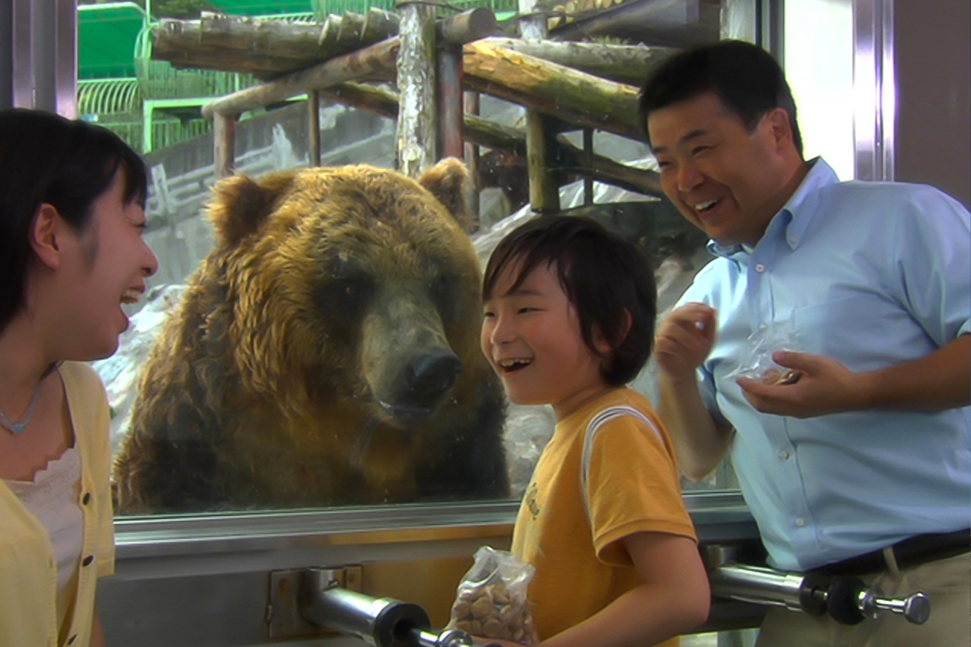 Noboribetsu Bear Park Ticket ou5b768d-backdrop