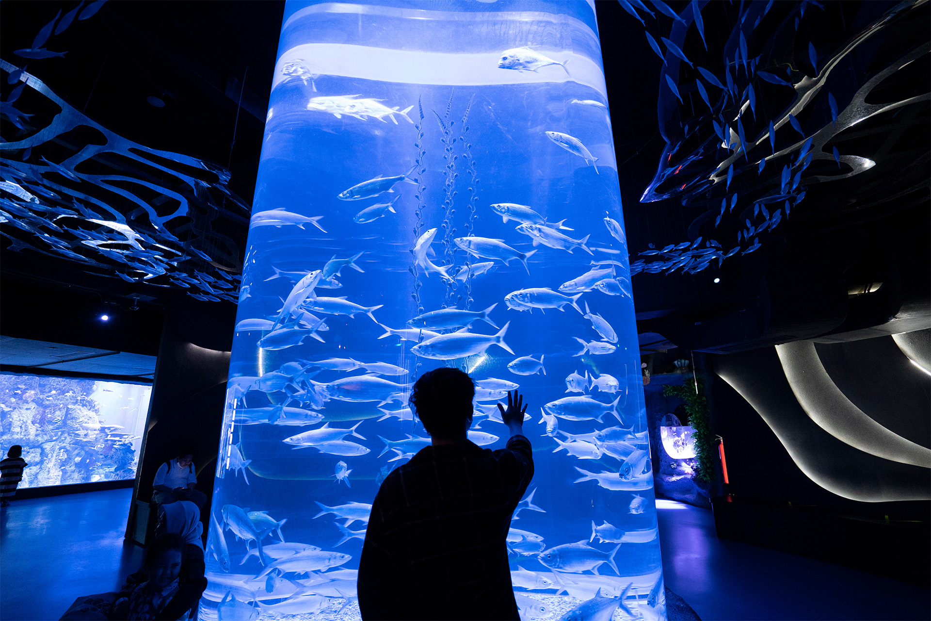Jakarta AQuarium Safari QuVpVOAV