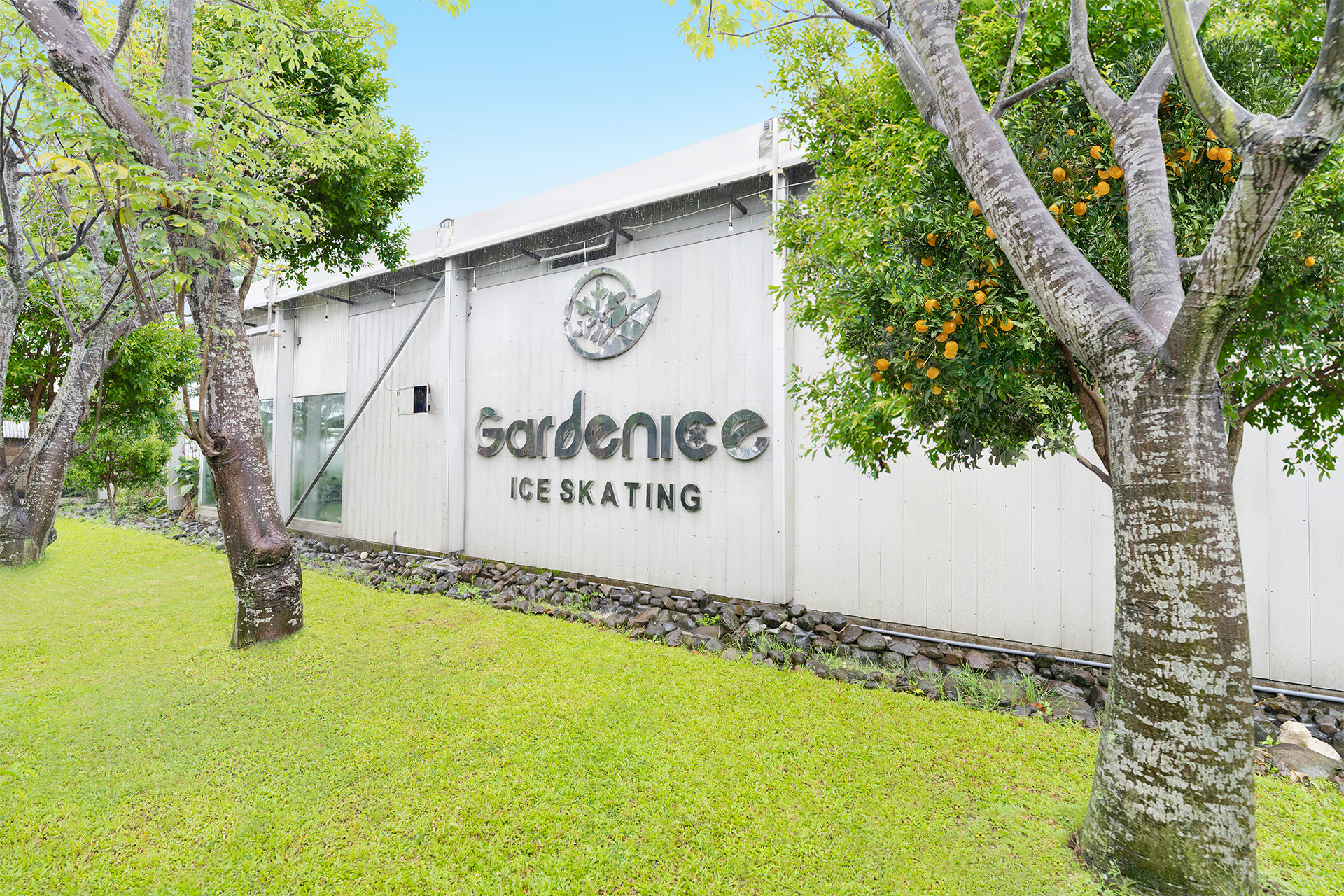 Gardenice L2dnnBSo