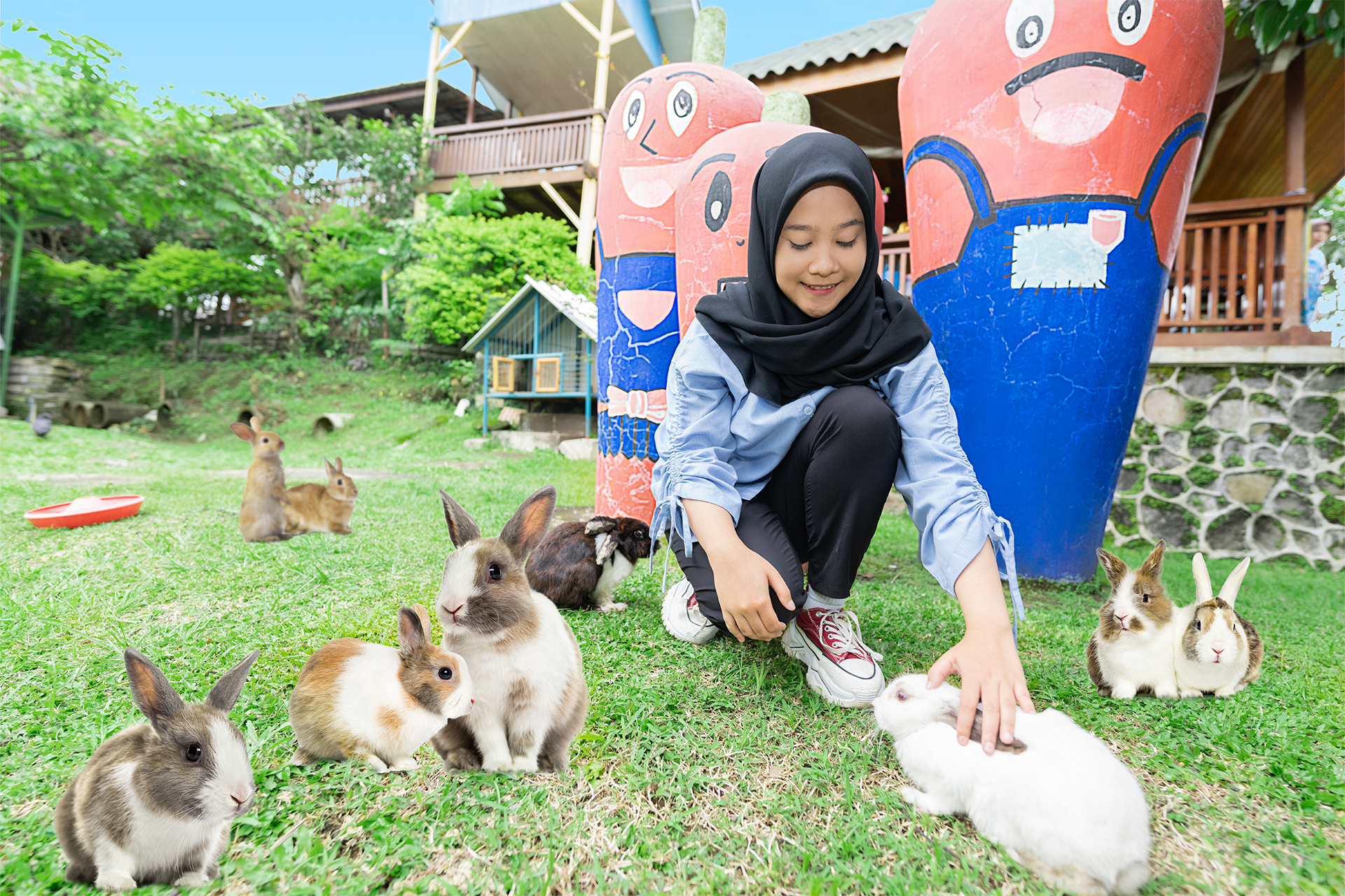 Kebun Pak Budi NNWI88OF