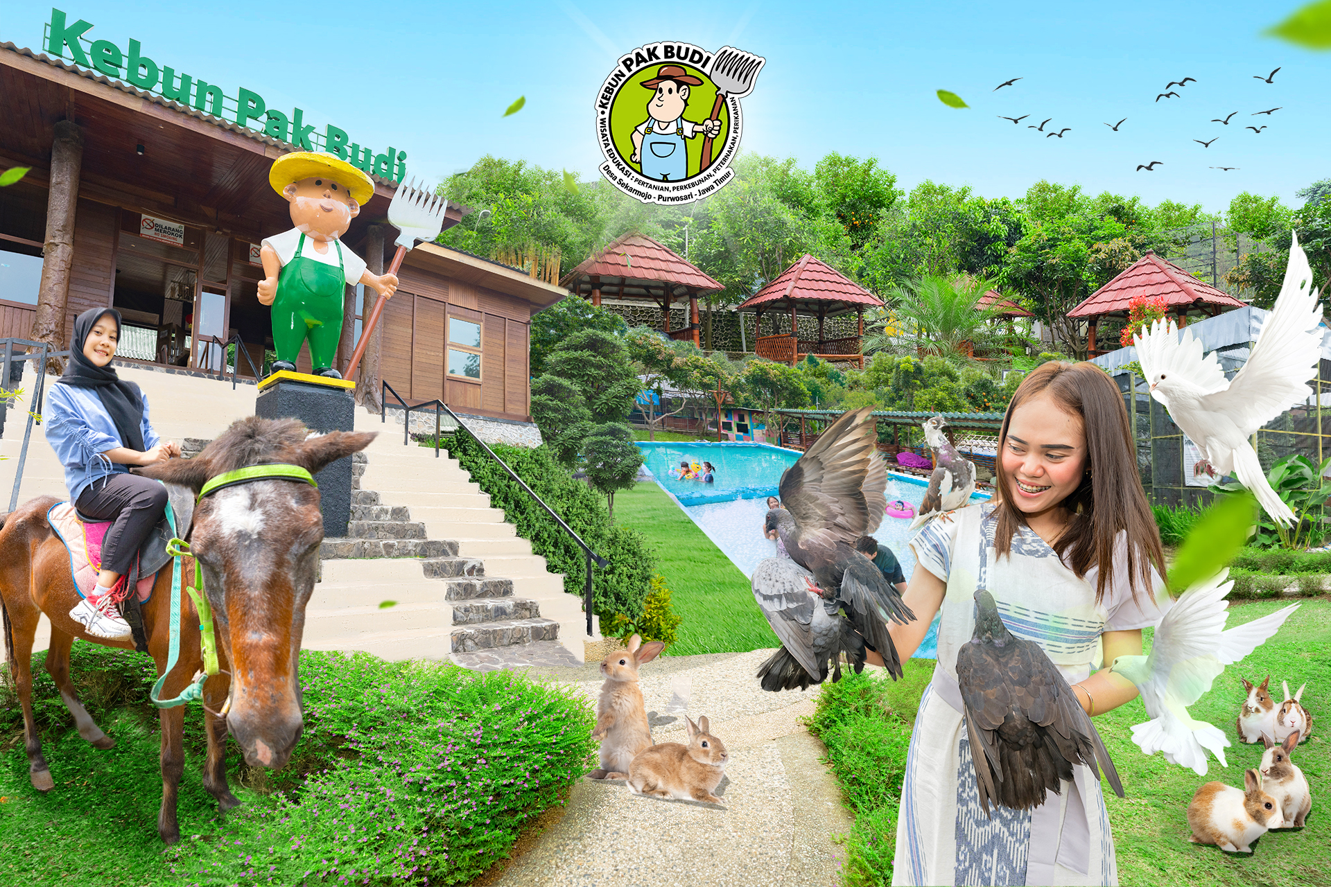 Kebun Pak Budi FRkloeXU-backdrop