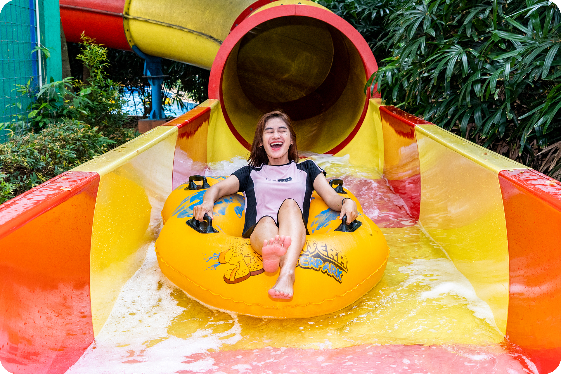 https://s-light.tiket.photos/t/01E25EBZS3W0FY9GTG6C42E1SE/rsfit19201280gsm/events/2024/10/24/34f03355-1e86-49d4-ad65-5121c3a5f2c6-1729757715062-88bc198e87f9d45279710162b1862d15.png