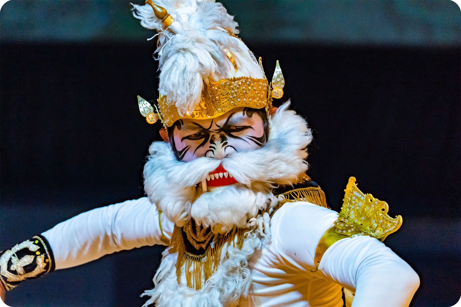 https://s-light.tiket.photos/t/01E25EBZS3W0FY9GTG6C42E1SE/rsfit19201280gsm/events/2024/10/24/b26278c0-7ea1-4e25-b6c3-cbcbfbb30a9d-1729763681365-d85dd2c1bd73fee60246a1313fea062e.png
