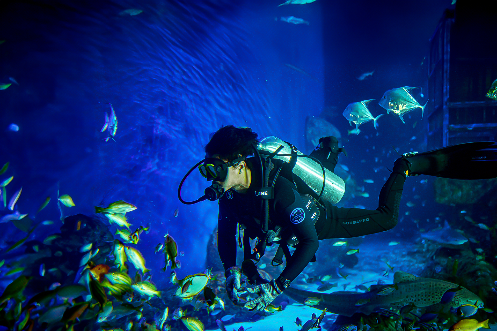 Marine Safari Bali 7Vu2aArS