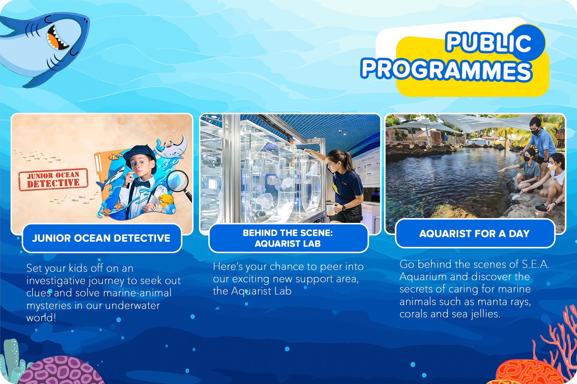 https://s-light.tiket.photos/t/01E25EBZS3W0FY9GTG6C42E1SE/rsfit19201280gsm/events/2025/01/23/64930b38-779c-4110-8142-7f944d08e8a1-1737603339720-4dba04f752c1b2239abf25742cb2f083.png
