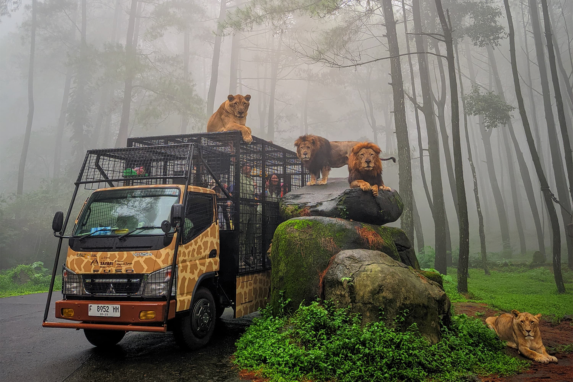 The Grand Taman Safari Prigen Jatim yVnQS83Z