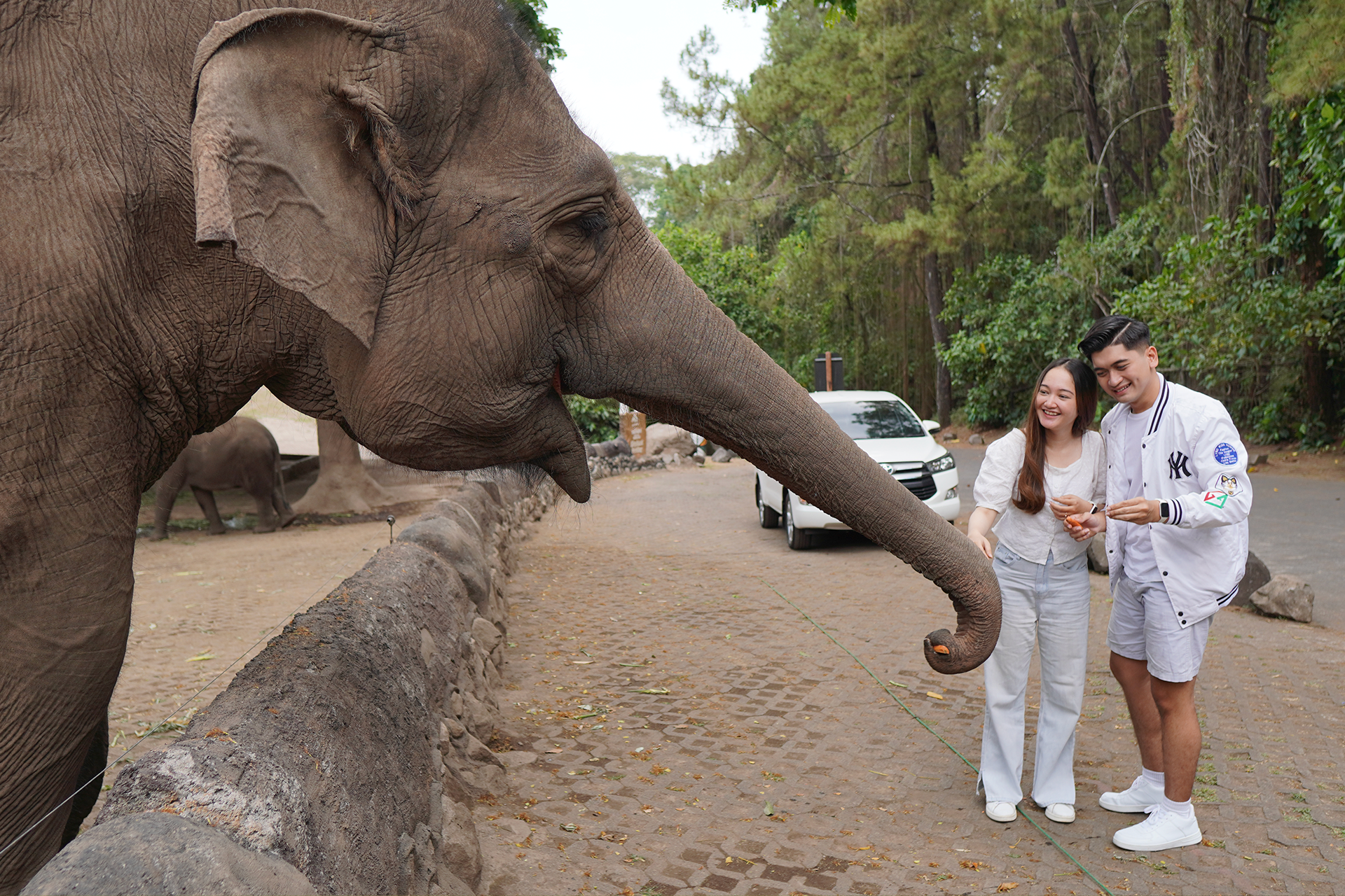 The Grand Taman Safari Prigen Jatim 2HdPgbiv