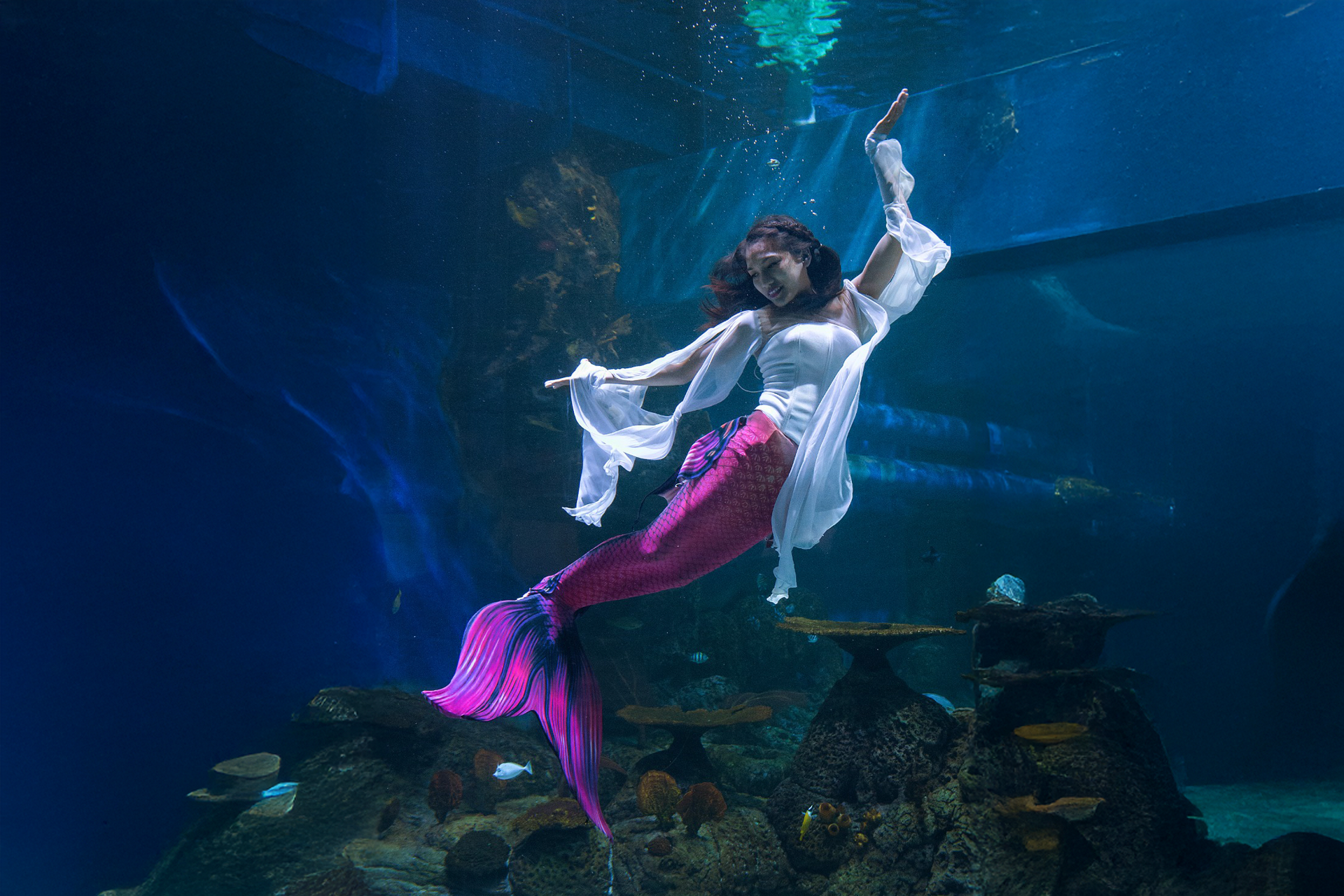 Jakarta AQuarium Safari NlKKXG2R
