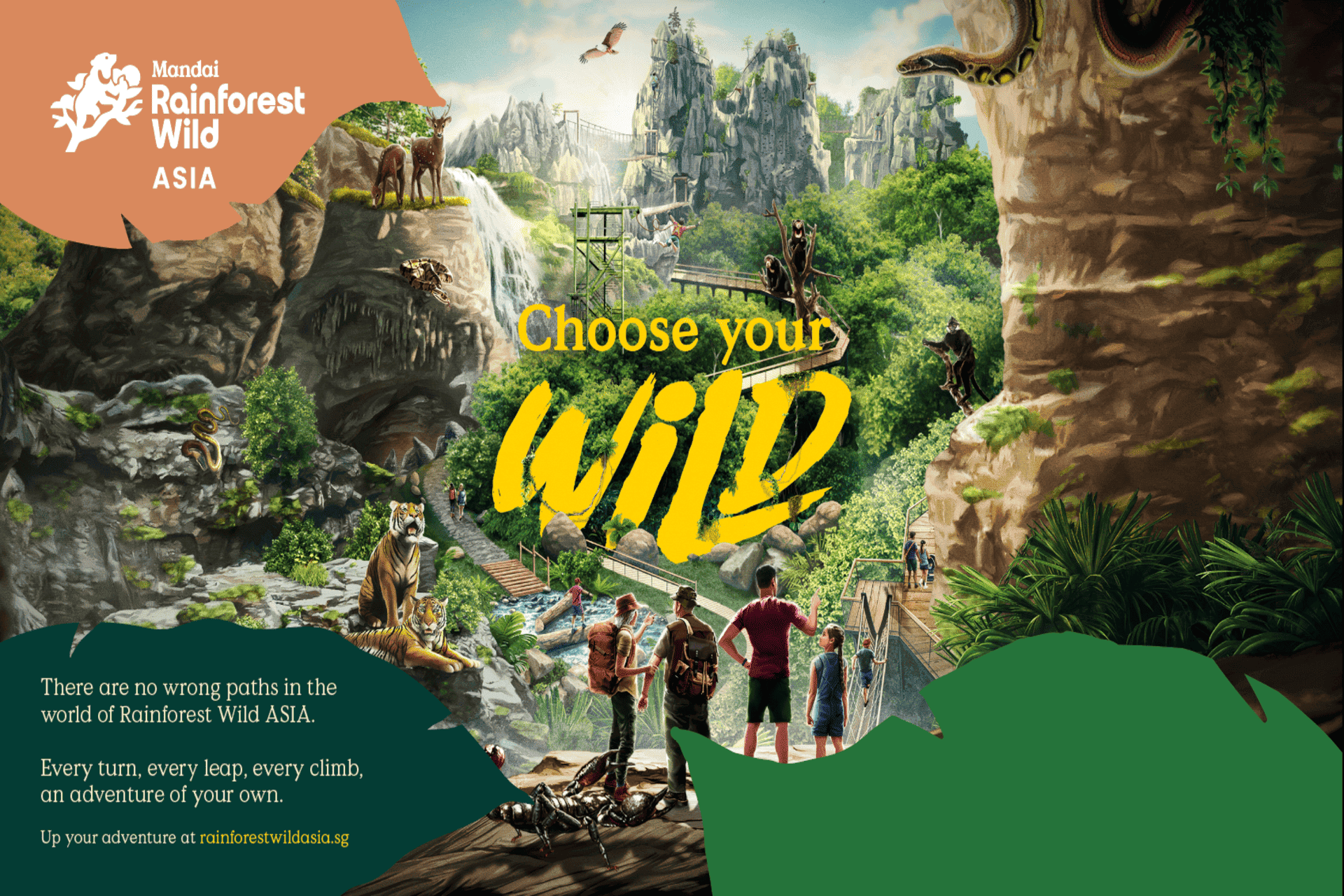 Rainforest Wild ASIA Ticket U6QGq1CR-backdrop