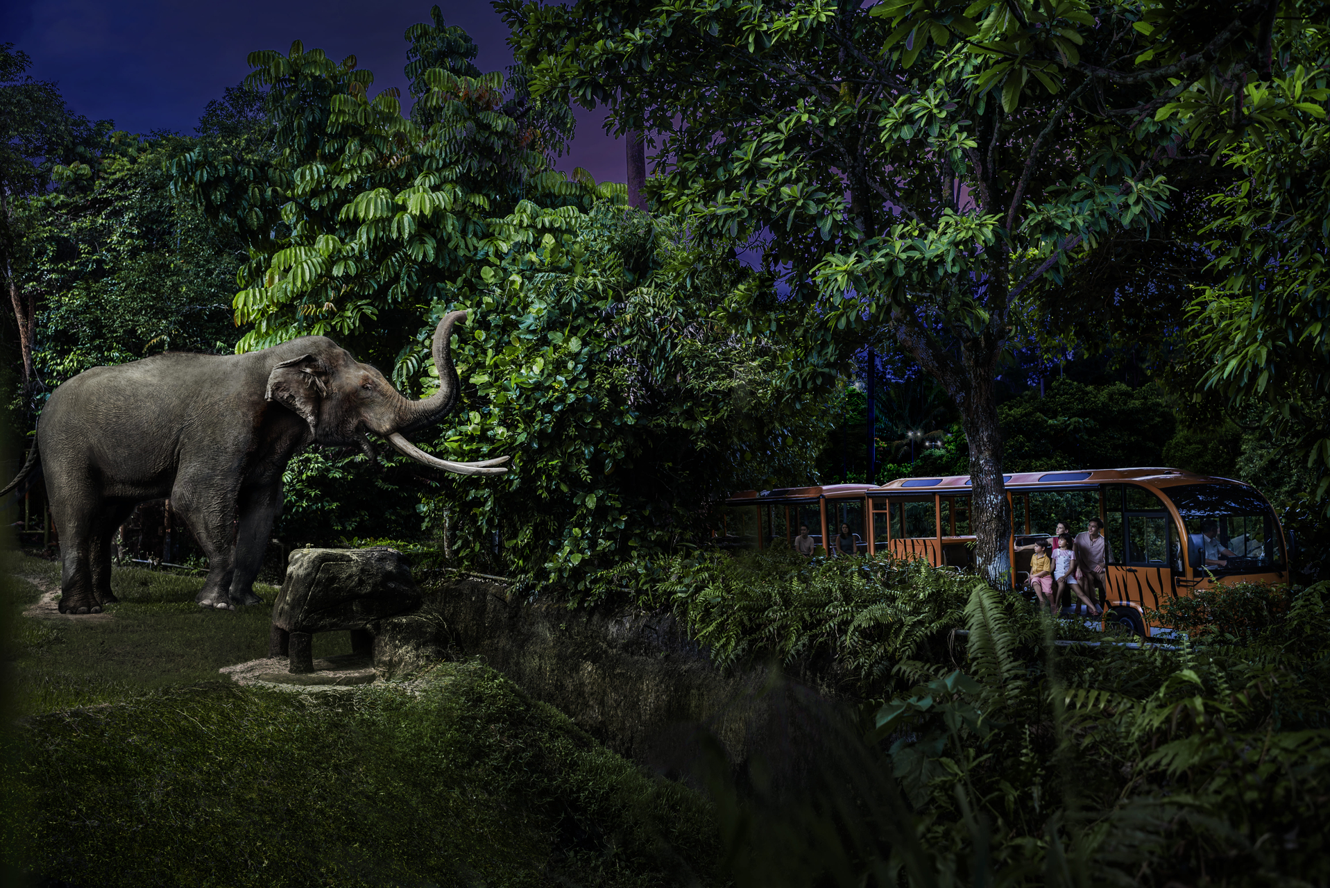 Night Safari Ticket I Mandai Wildlife Reserve Hm47ehaf