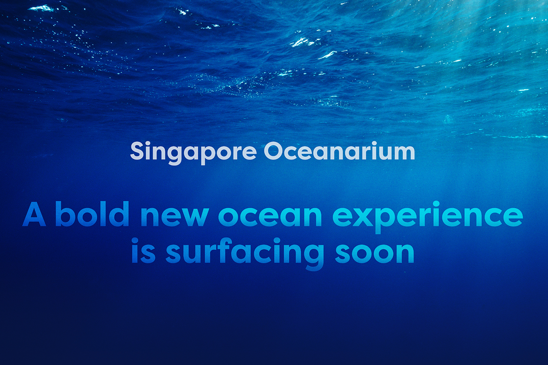 S.E.A. Aquarium™ ggeHr4Zc-backdrop