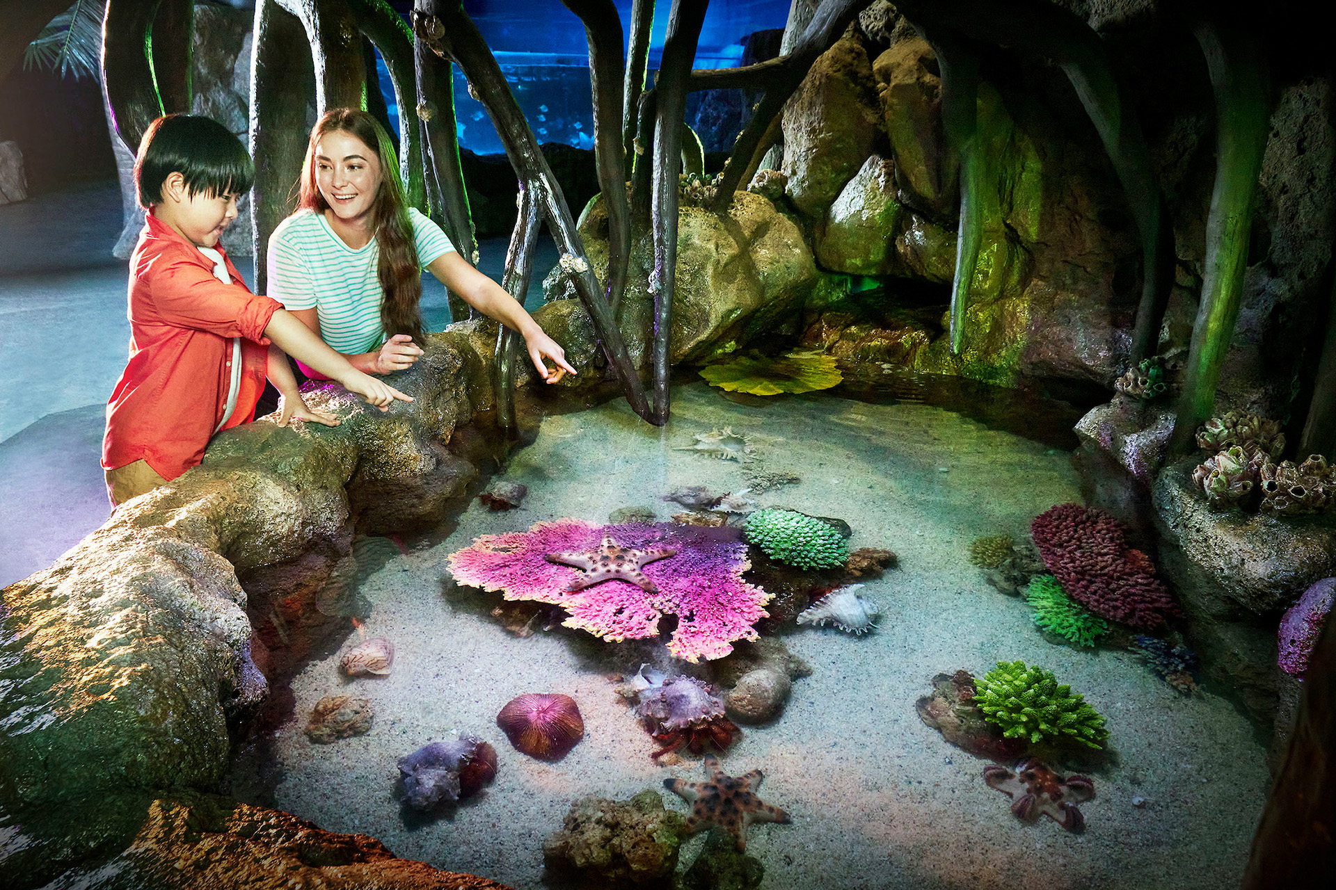 SEA LIFE Bangkok Ocean World Ticket wnBTiAU4