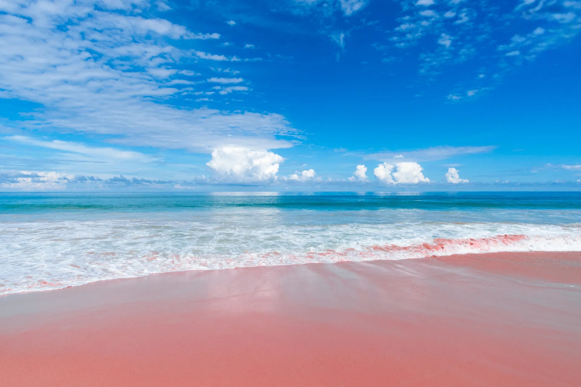 Pink Beach Rak One Day Tour pink beach by Lombok Private Trip 50% Off Entry Ticket Price