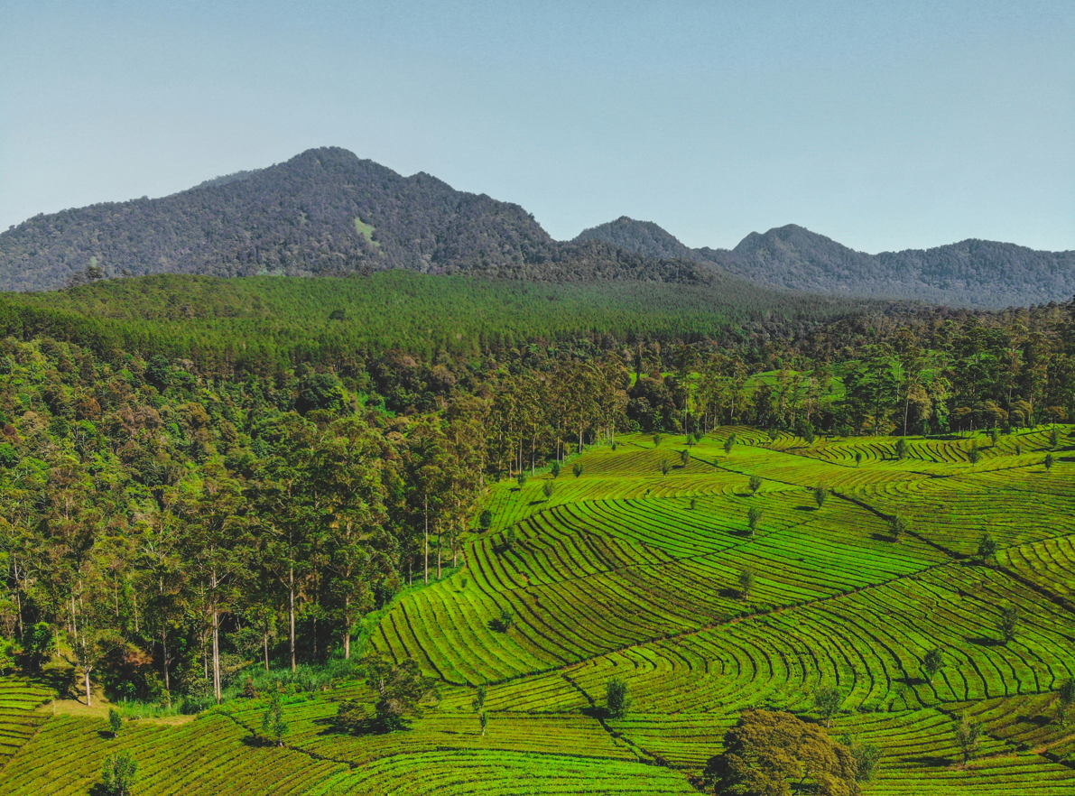 Tips Berburu Kuliner di Bandung