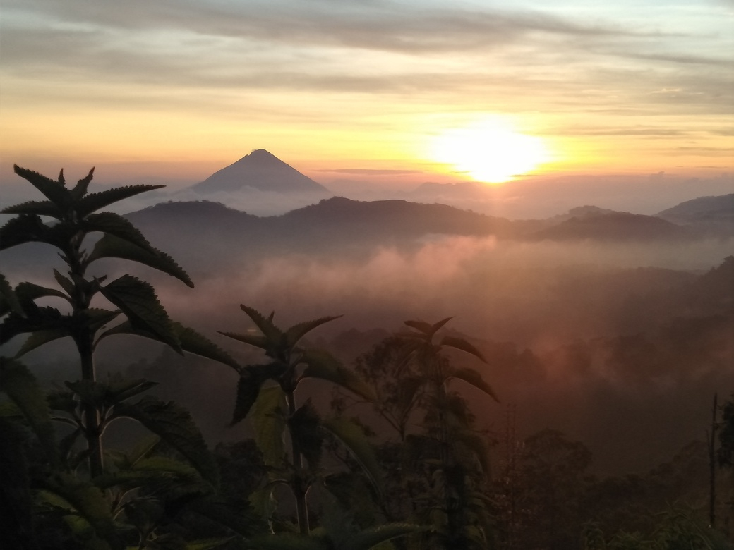 Exterior & Views 2, Arnolds Familly Homestay, Ngada