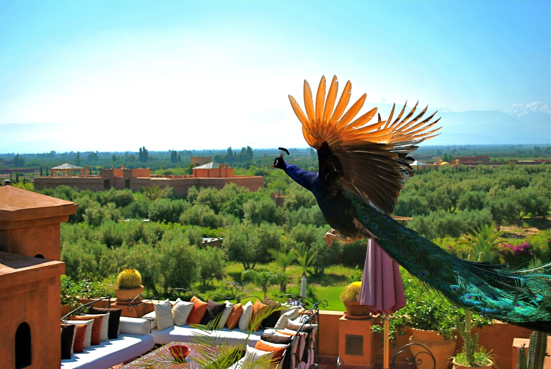 Riad Al Mendili Private Resort & Spa, Al Haouz