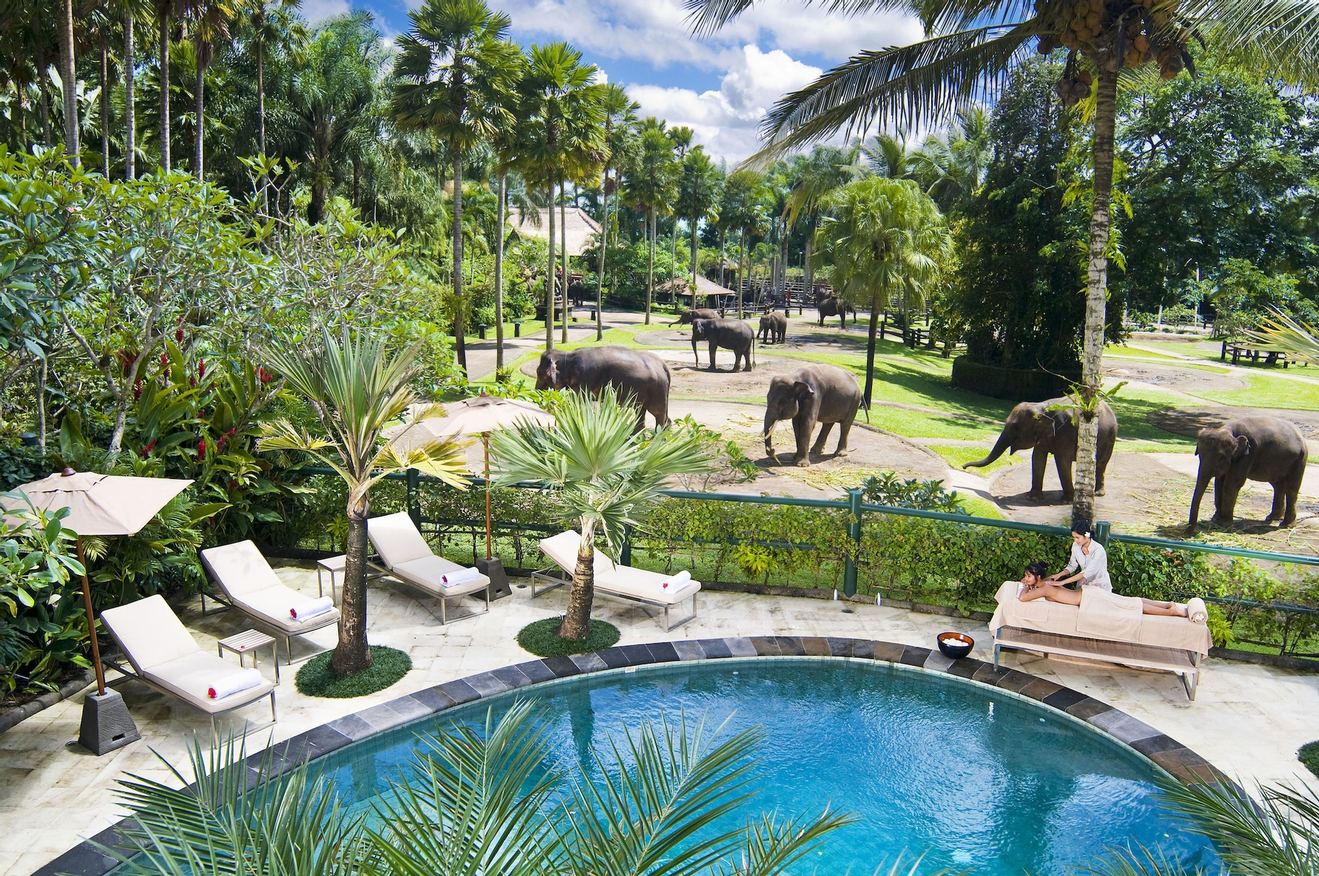 Sport & Beauty, Mason Elephant Lodge, Gianyar