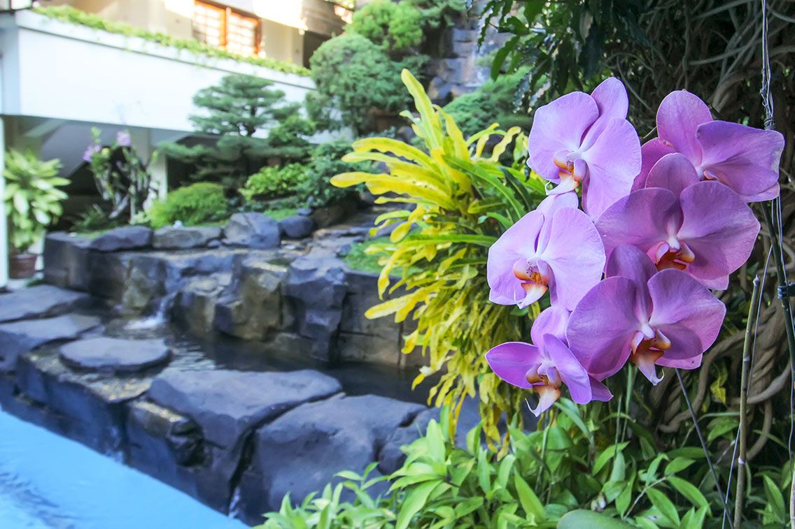 Sport & Beauty 4, Duta Guest House, Yogyakarta