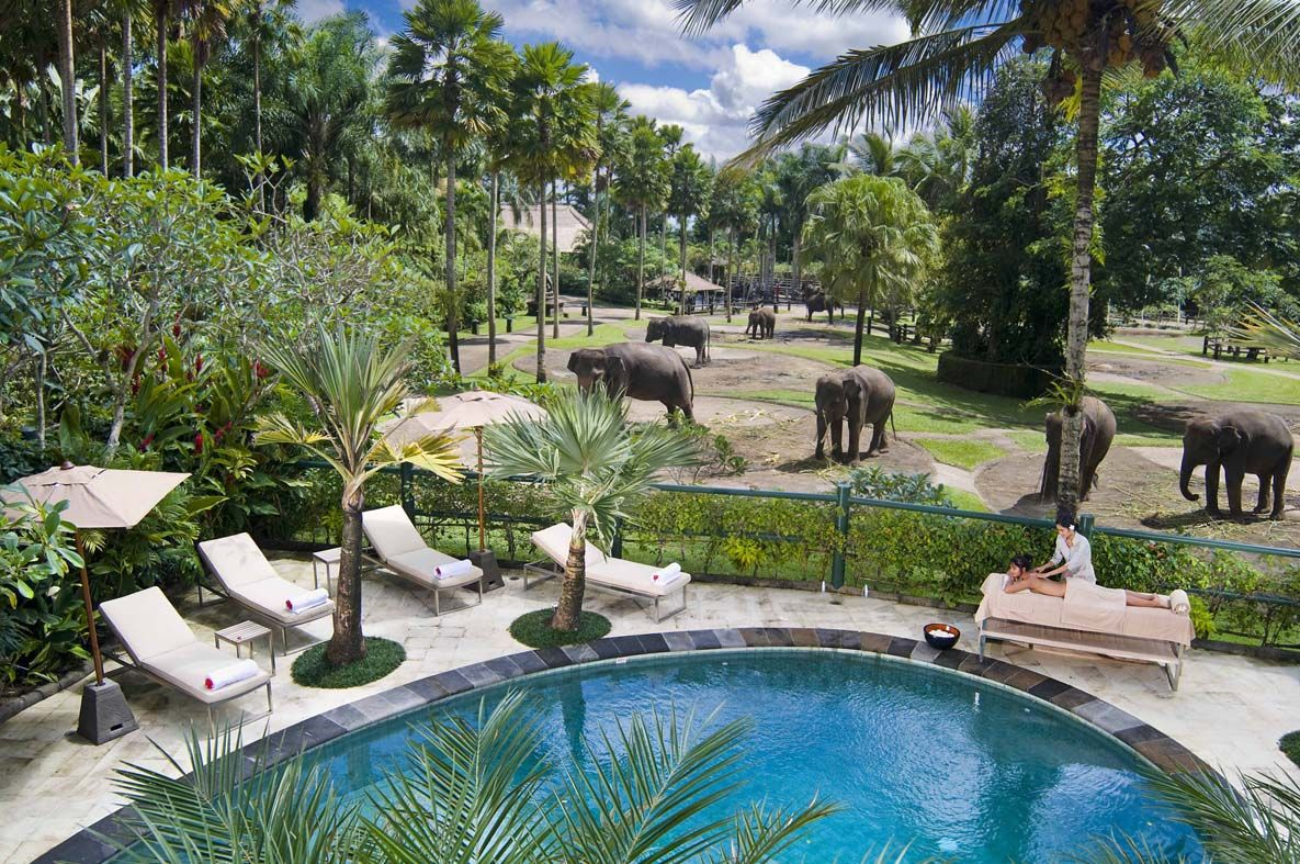 Elephant Safari Park Lodge Hotel, Gianyar