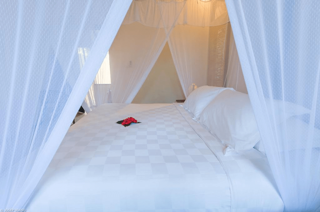 Bed 5