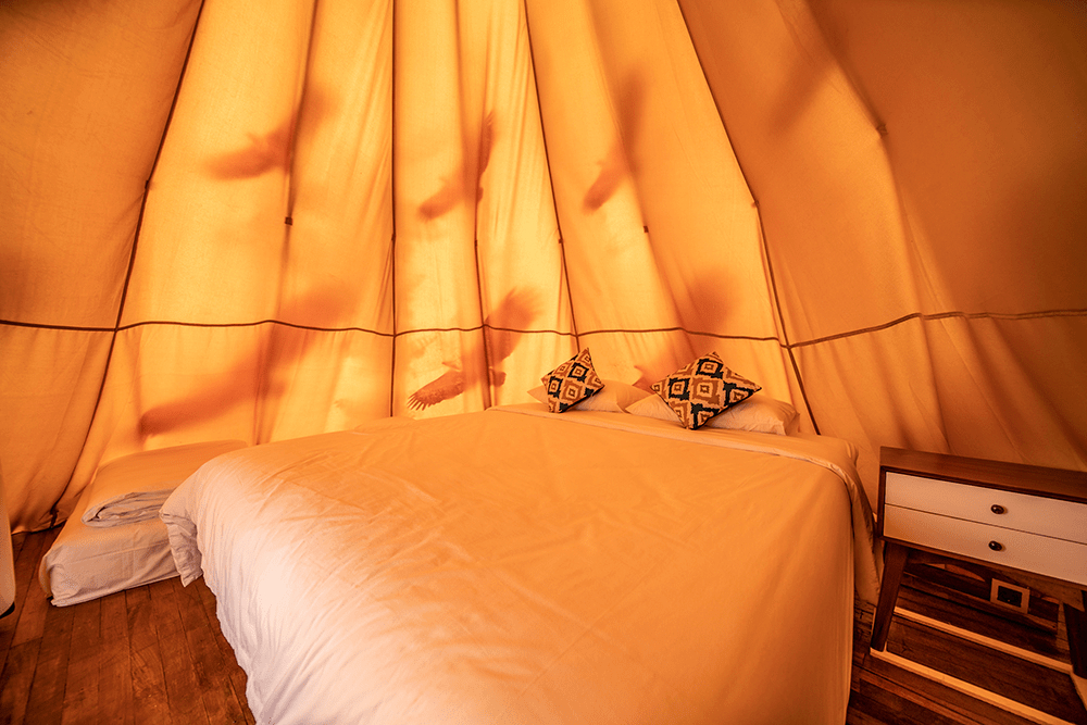 Bed 3