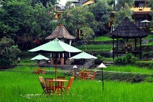 Padi Heritage Hotel, Malang