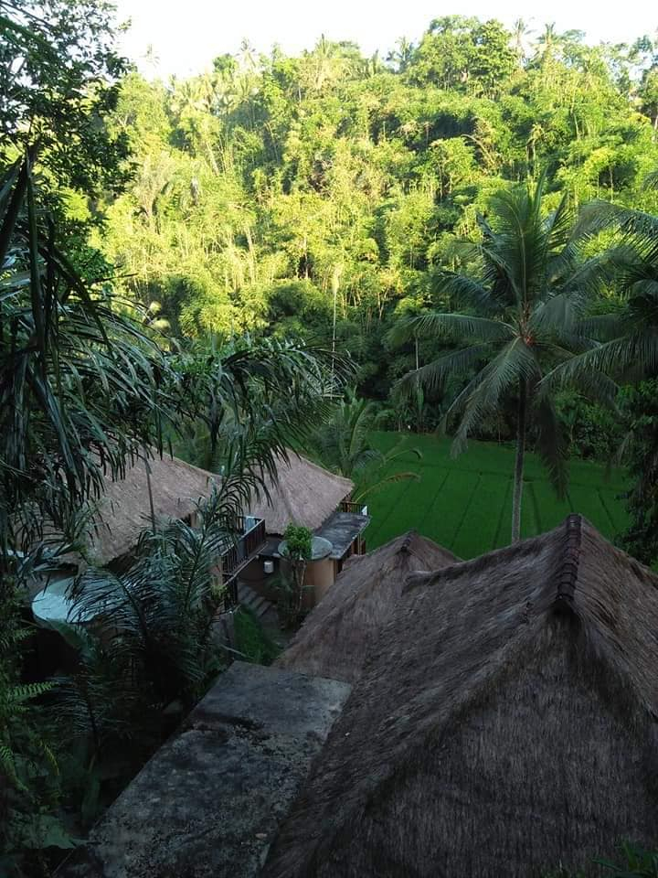 Exterior & Views 2, Tirta Loka Suite Bali, Gianyar