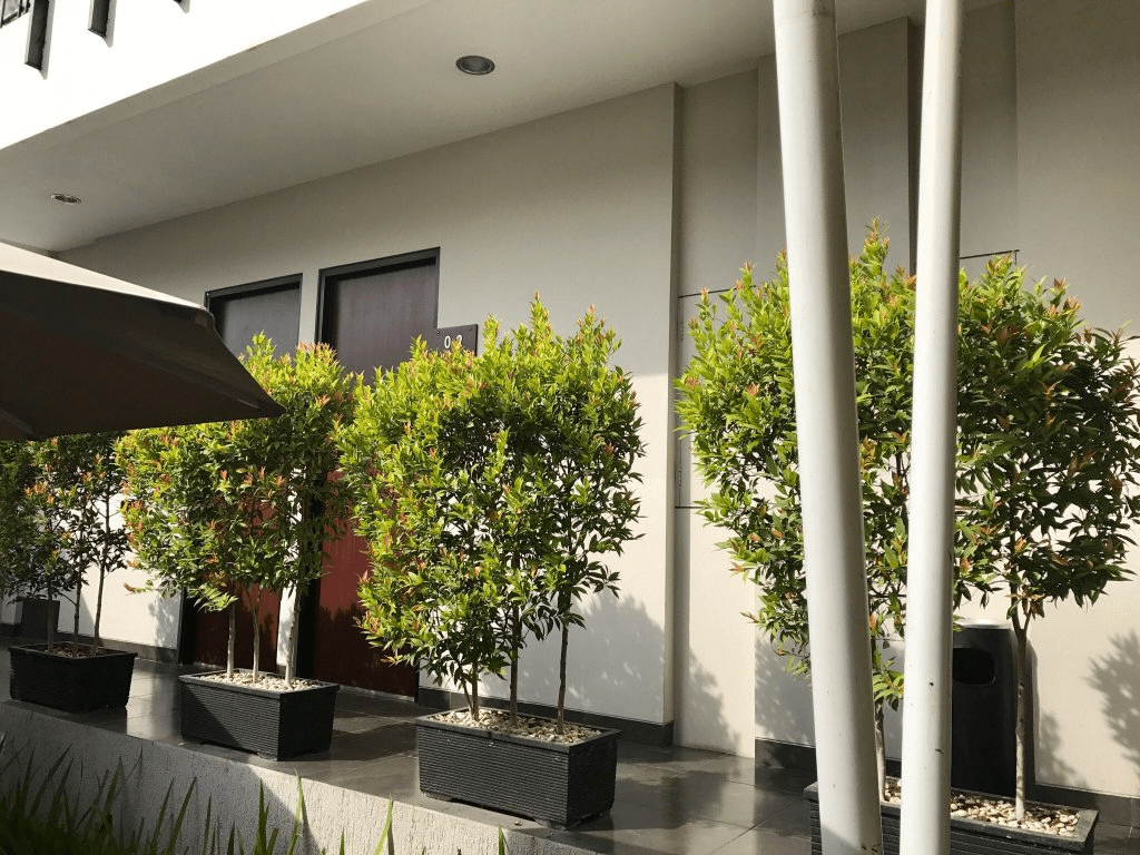 Others 4, Hotel Lotus Cirebon, Cirebon