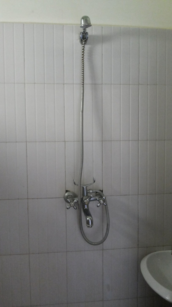 Bathroom shower 12
