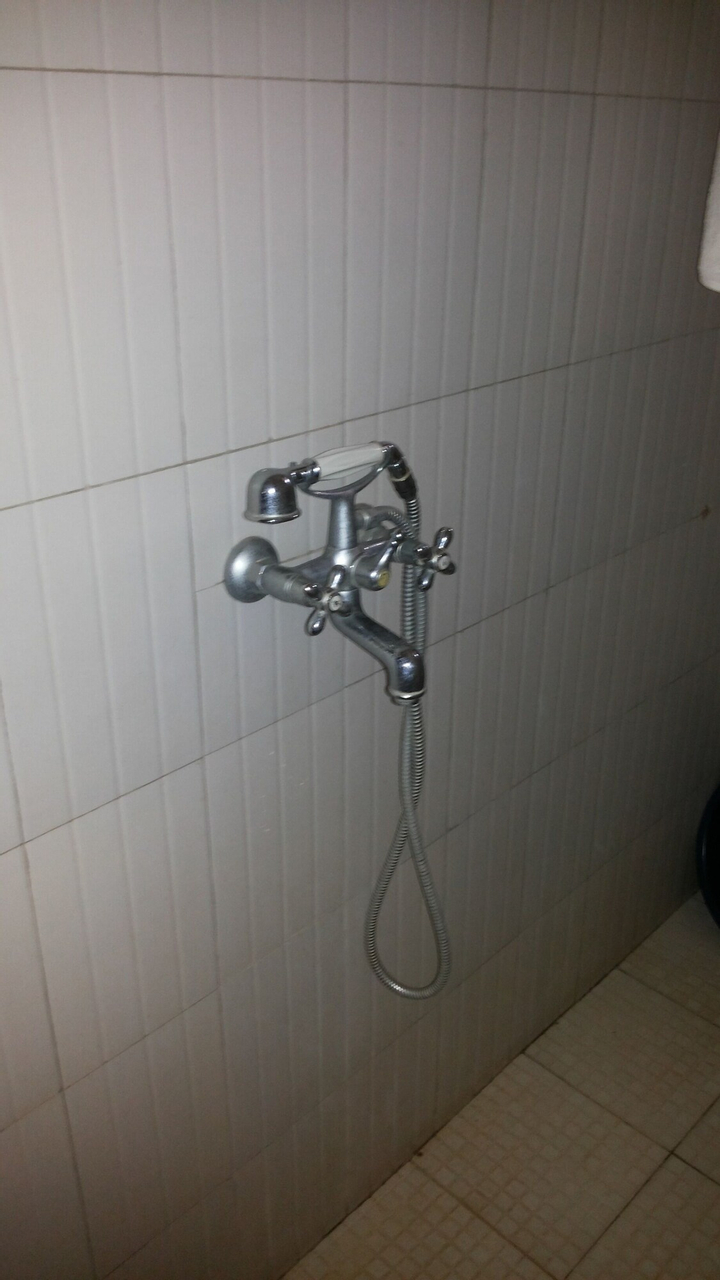 Bathroom shower 12