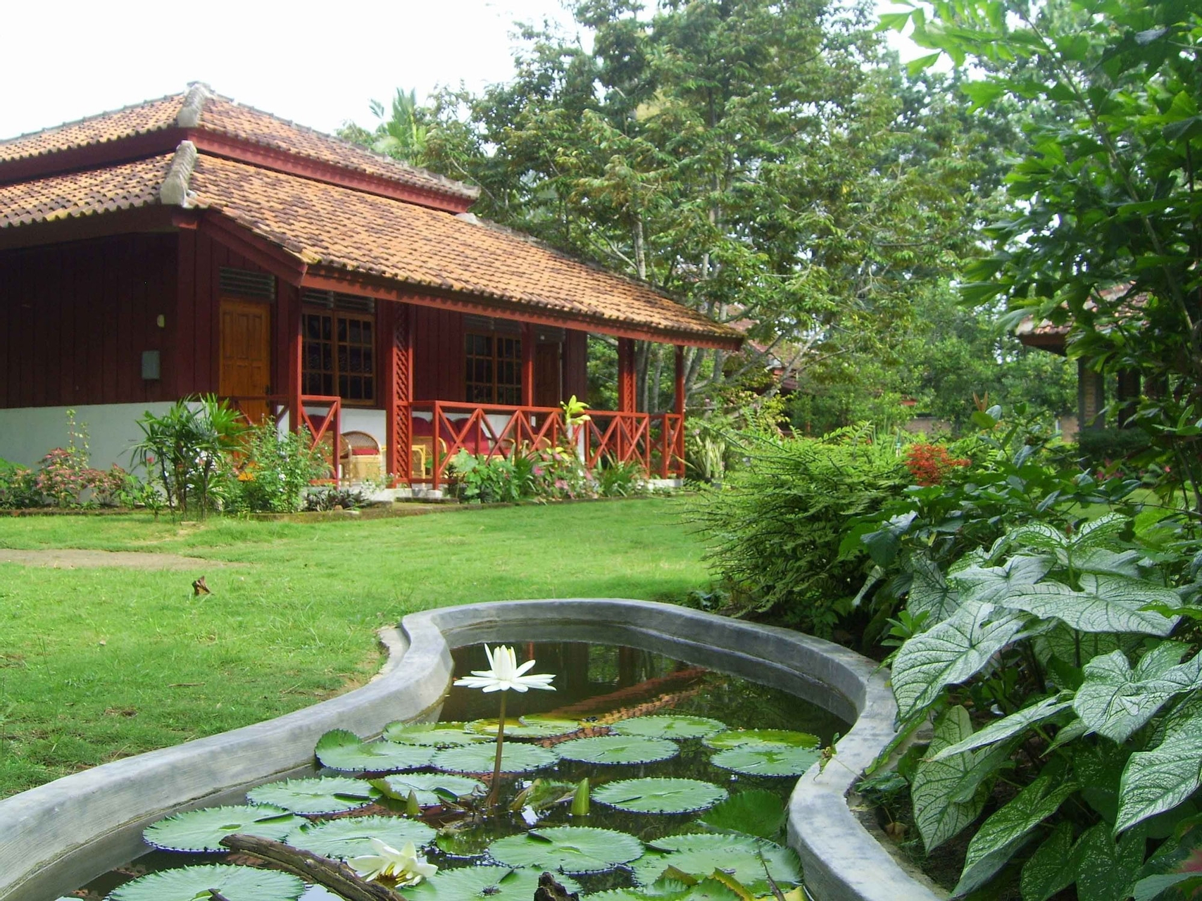 The Satwa Elephant Ecolodge, Lampung Timur
