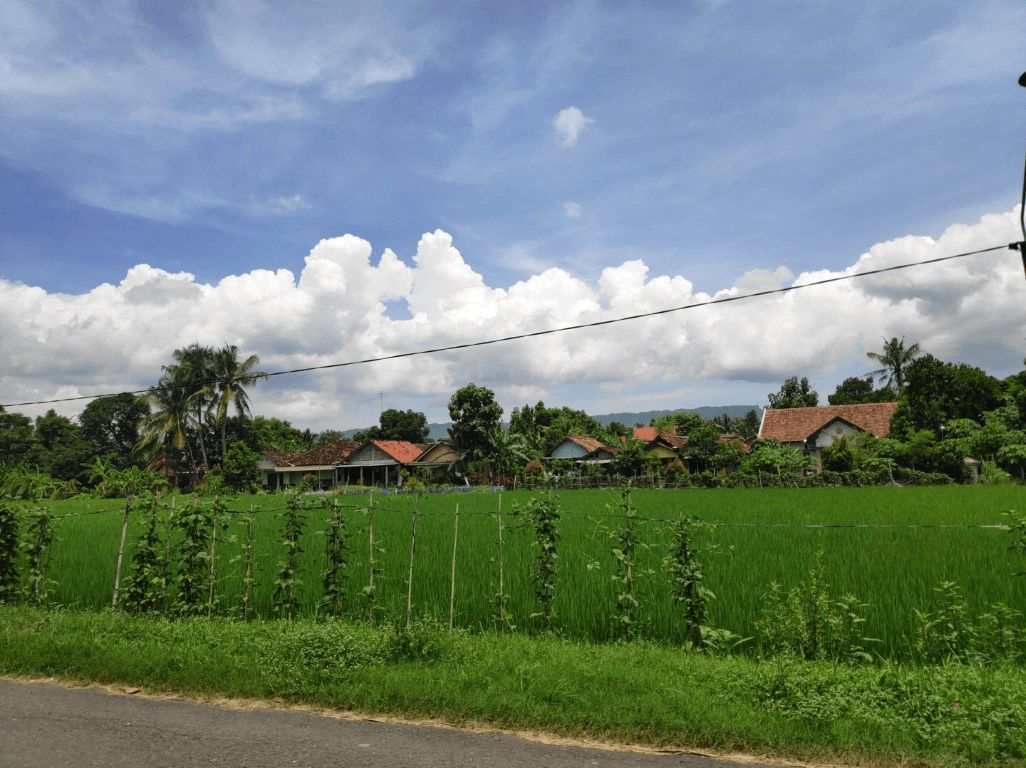 Exterior & Views 5, Dibyo Homestay, Bantul