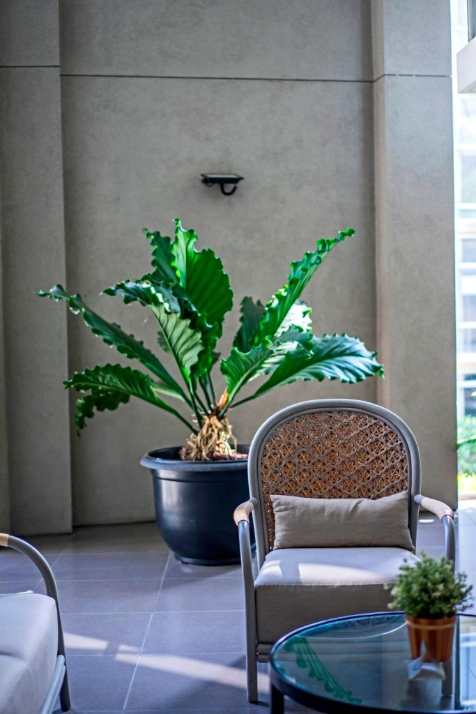 Exterior & Views 5, Malaka Hotel, Bandung