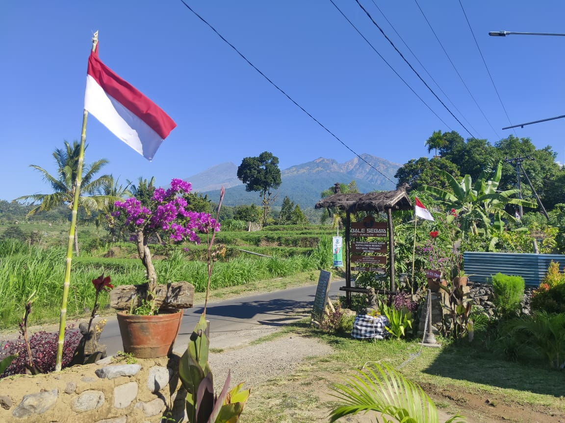 Exterior & Views 3, Bale Sebaya Bungalow, Lombok