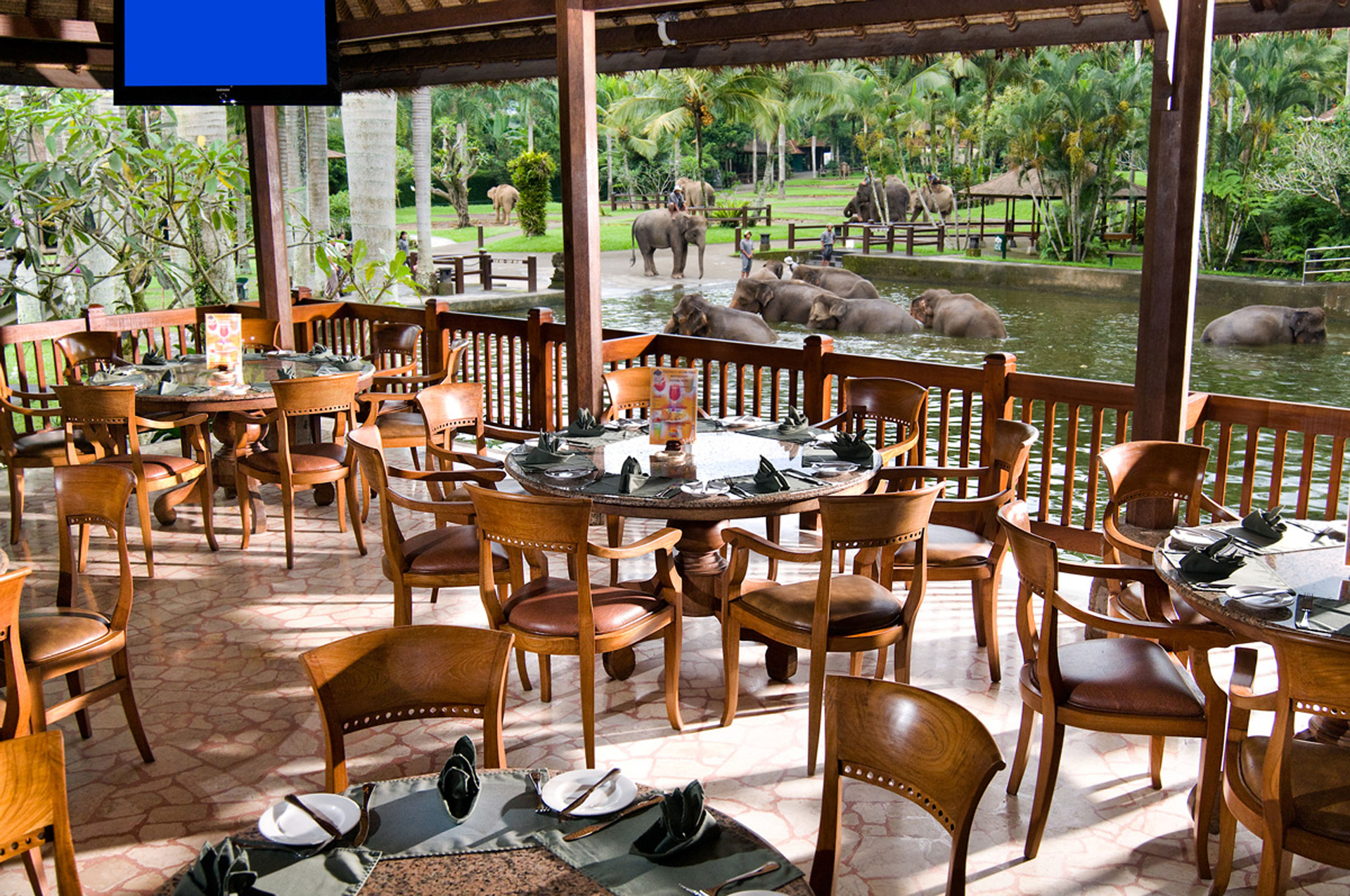 Food & Drinks 5, Elephant Safari Park Lodge Hotel, Gianyar