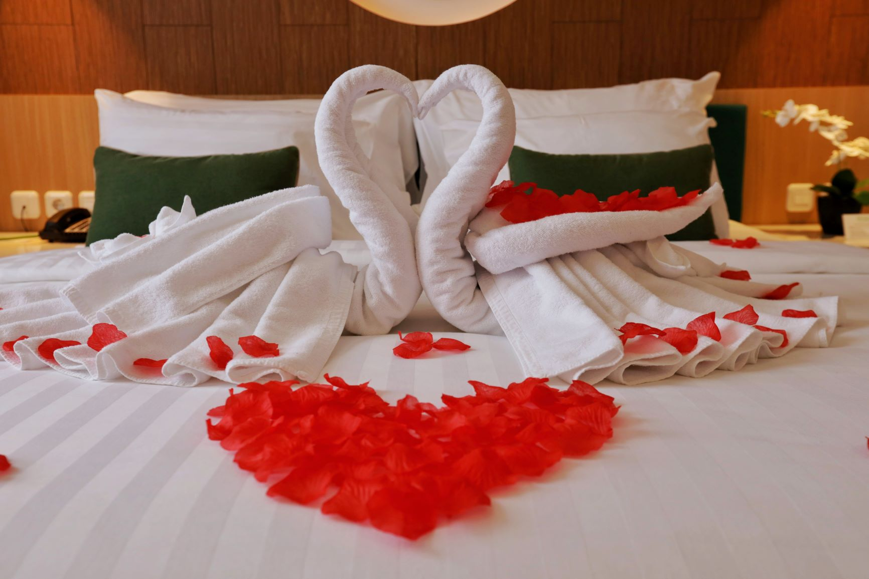 Bed 5