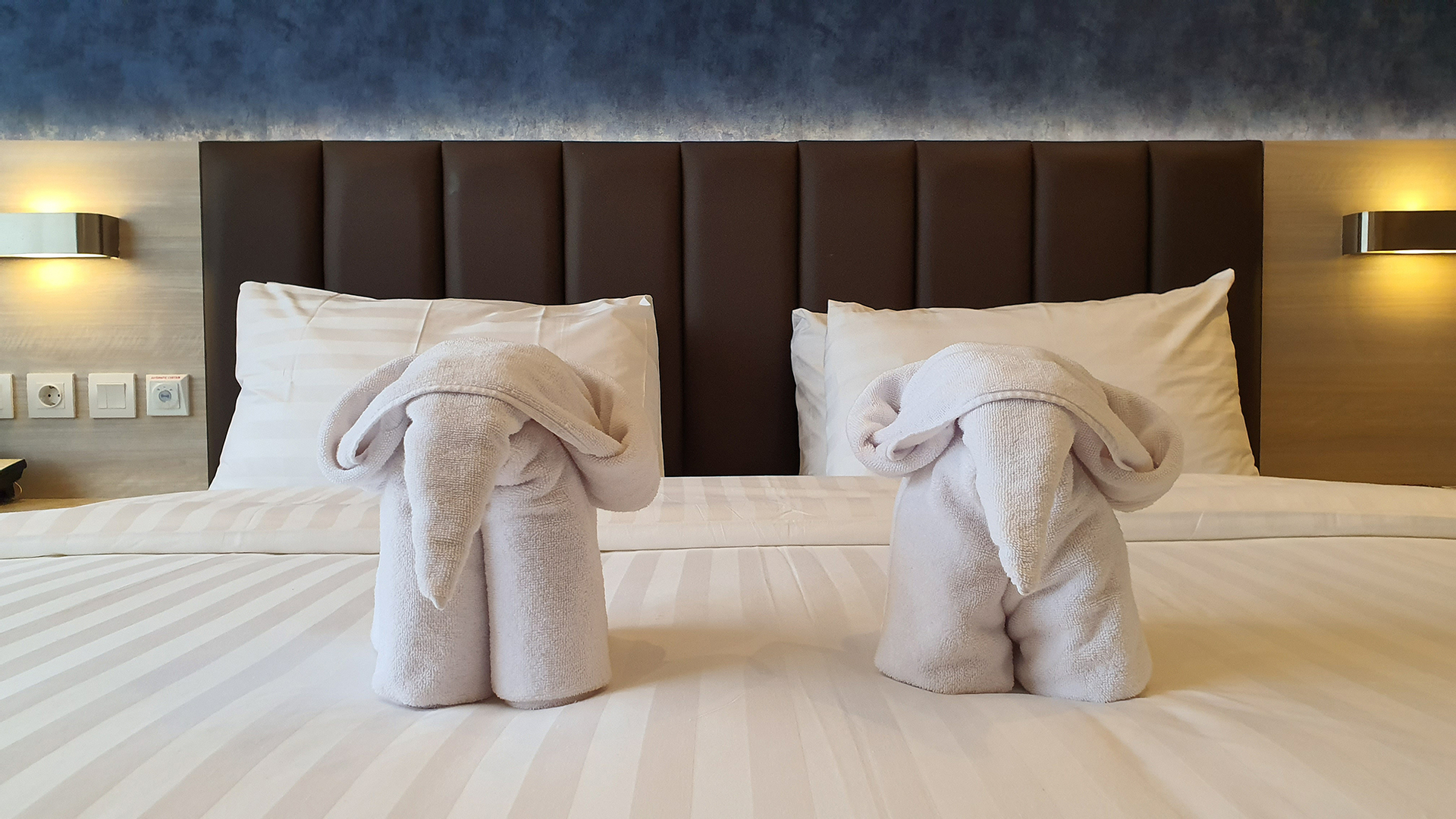 Bed 5
