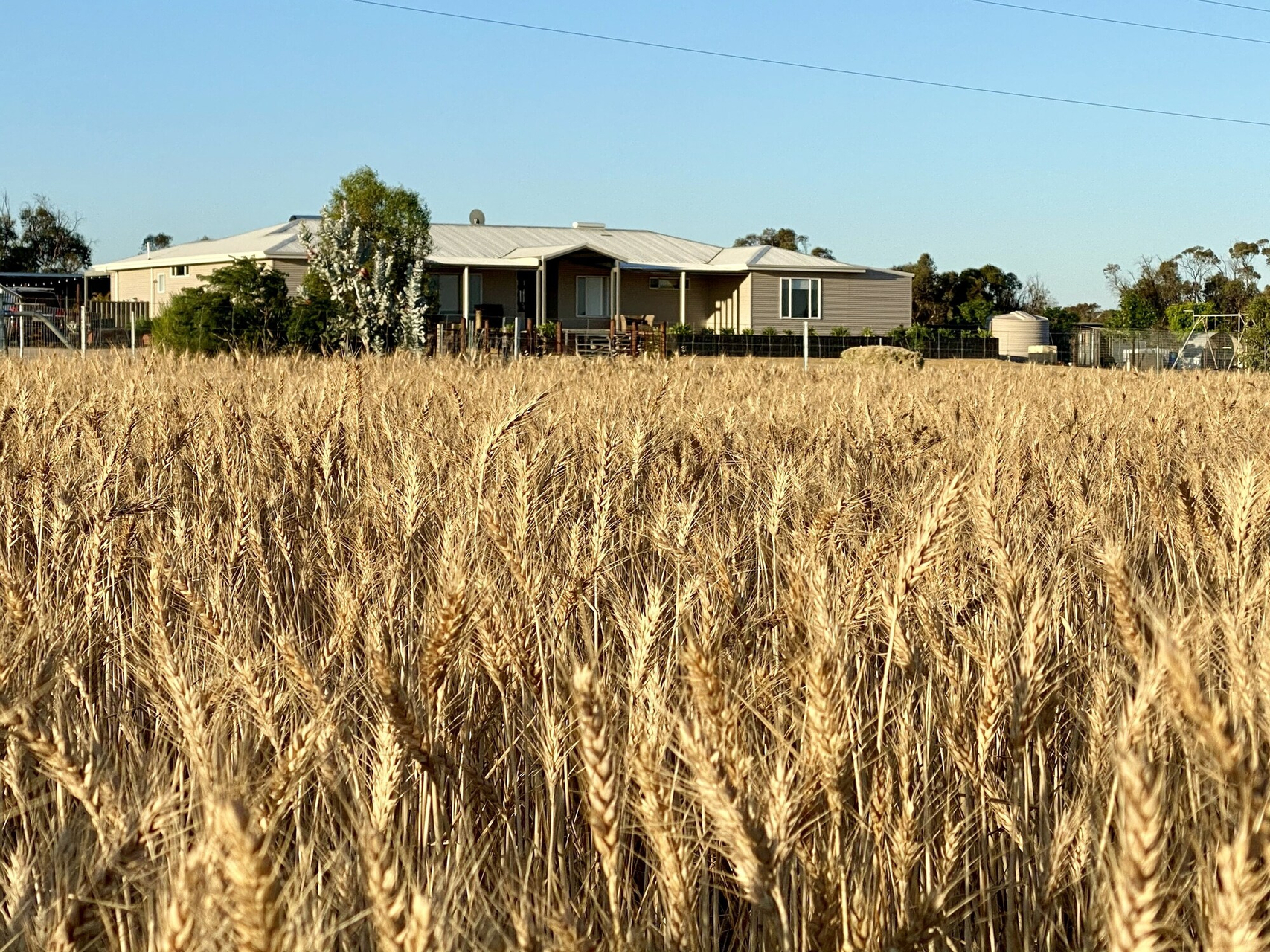 Exterior & Views 2, The Mains Guest House 2 Bedroom Farm Stay, Corrigin