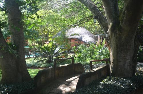 Garden, Bushbaby Lodge, Umkhanyakude
