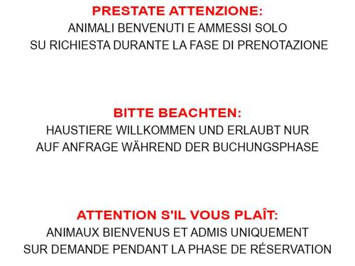 3, La corte dei Zucc, Locarno