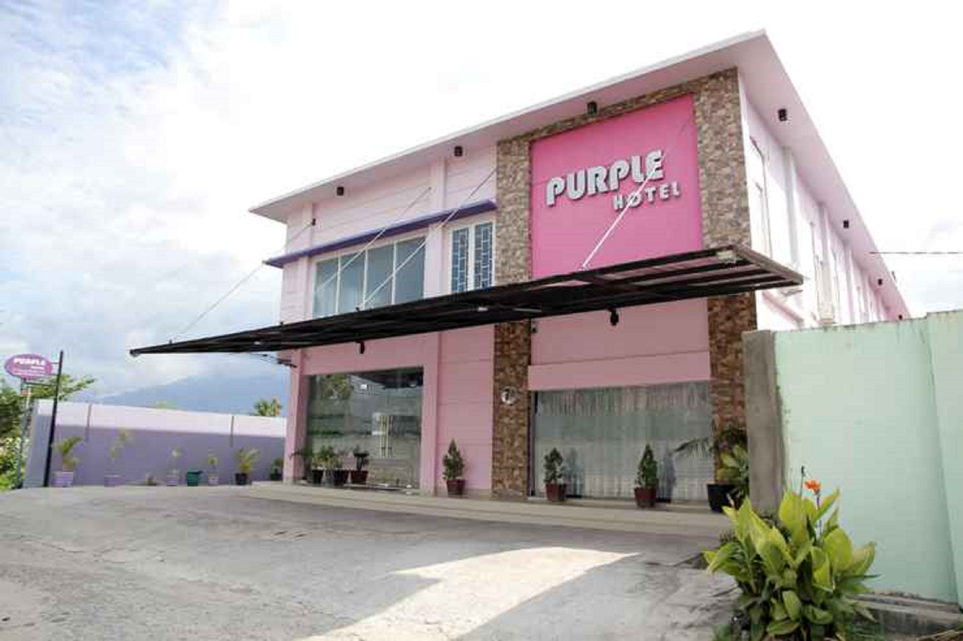 Purple Hotel, Palu